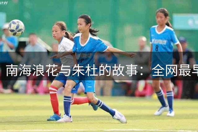 南海浪花与朱杜的故事：全网最早反对朱杜上位的斗士