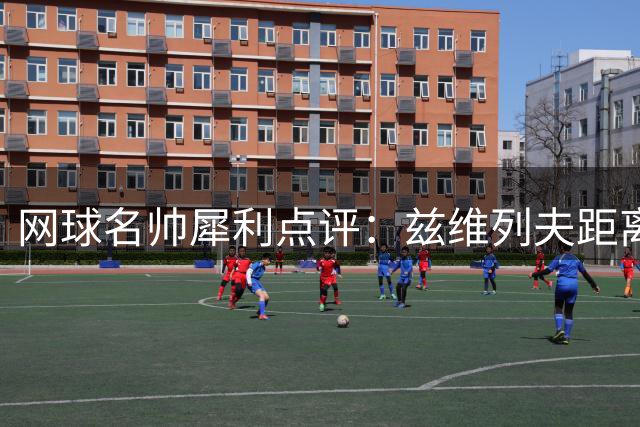 网球名帅犀利点评：兹维列夫距离顶尖还差什么？